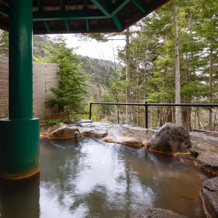 Yunotaniso