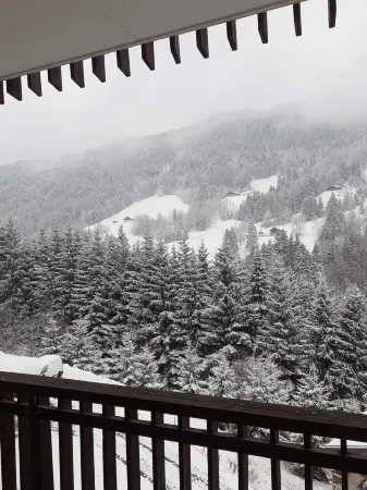 Lovely flat in Flumet (73), 1h15 from Geneva airport, 60m2, 4-sleeper, bright