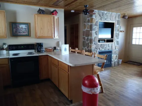 Bear Foot Getaway: Secluded Cabin in Aspens, deck, Hot Tub, 6Mi to Cripple Creek