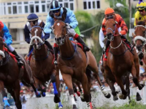 Champ de Mars B&B Hôtels à : Port-Louis