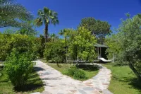 阿卡迪亞酒店 鄰近奇拉里海灘（Cirali Beach）的酒店