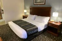 Wingate by Wyndham Brighton Hotel a Genoa Township