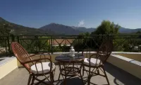 Hotel Phoenix - Parkering
