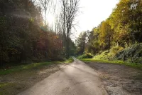 Waldhotel Albachmühle Mit Albacher Stuben Hotel a Konz