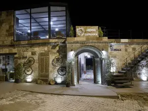 Arinna Cappadocia