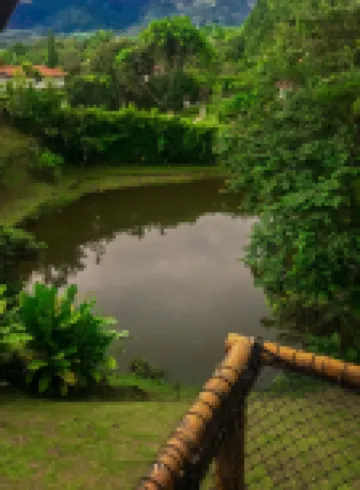 Room in Guest Room - Room with 2 Double Beds. Number 14