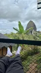 エコエデン グランピング - マウンテンビュー