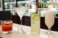 Plaza Blumenau Hotel - Bars