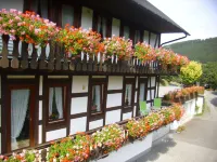 Charming Apartment with Balcony, Garden, BBQ, Parking, Heating - 3 stjerner