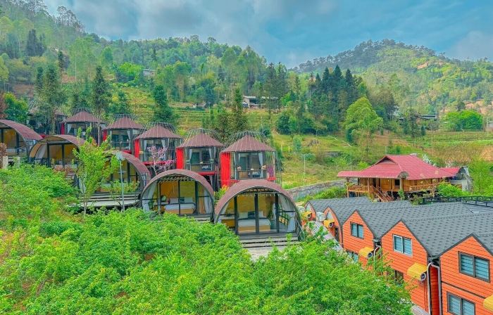 Plum Hillside Lodge