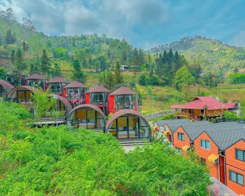 Plum Homestay - Hostel Hotels in Dong Van