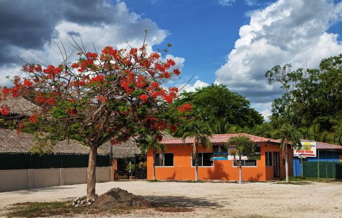 Hotel Guanacaste Lodge