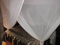 The Tree Lodge at Sikumi Hotels in Hwange