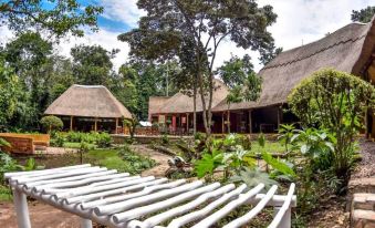 Primate Lodge