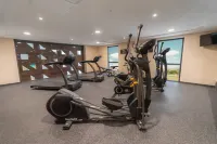 Highland Chihuahua - gimnasio