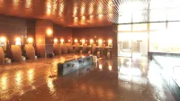 Fukui Academia Hotel - Hot Springs