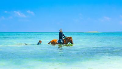 ホテル周辺 ユインチホテル南城の写真