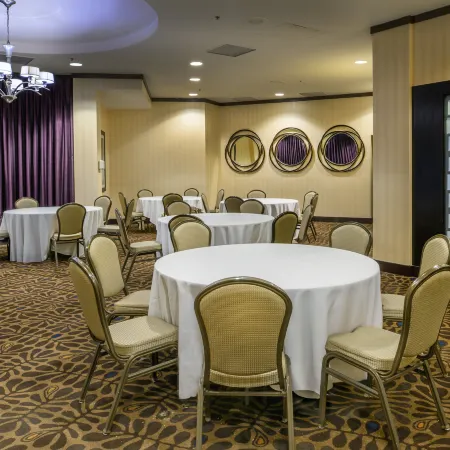 Embassy Suites by Hilton St. Louis Airport