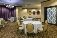 Embassy Suites by Hilton St. Louis Airport - breakfast