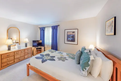 Mountainside Resort J203