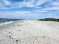 Winter at the Beach, Family's Welcome.