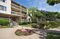 Ocean Views and Stylish Comfort - Spacious Top-Floor Retreat