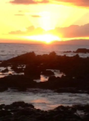 Beautiful Beachfront Condo - Big Nightly Discounts!!!