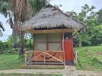 La Casa del Ayahuasca - Luz del Amazonas - Pools