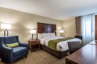 Comfort Inn & Suites Albuquerque Downtown Các khách sạn ở Albuquerque
