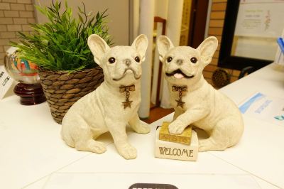 その他 新宿 Sky Capsuleの写真