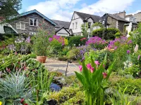 Puddle Duck Lodge – Adults Only - Pet friendly