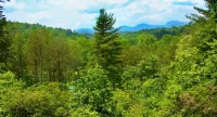 Long Mountain Lodge Bed & Breakfast Hotel a Dahlonega