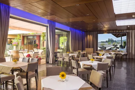 Hotel Andreas Hofer Отели в г. Гемайнде Шеффау ам Вильден Кайзер