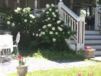 The Whitmore Inn Hotels in Junction City