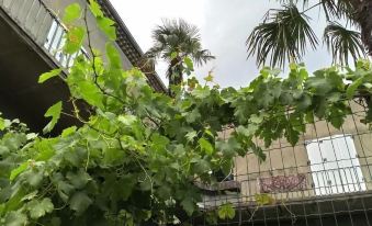 La Maison Jaffran, Suite en Ville