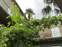 La Maison Jaffran, Suite en Ville Hotels in Ardeche