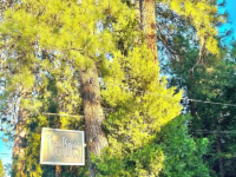 The Pines Inn and Cottages Hotels in Grass Valley