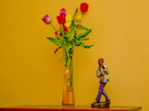 Port of Spain Sunny Guest Apartment Hotels in Piarco