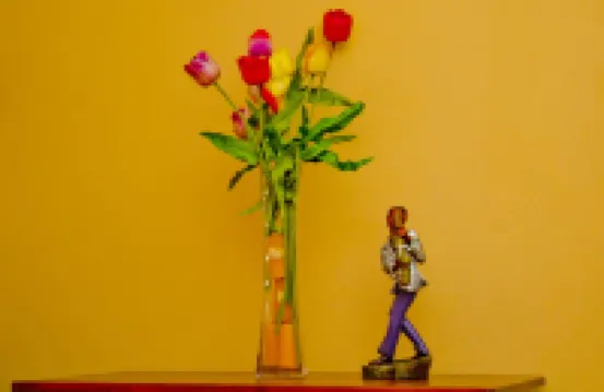 Port of Spain Sunny Guest Apartment