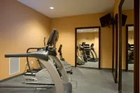 Holiday Inn Express & Suites PRATTVILLE SOUTH by IHG - Gym