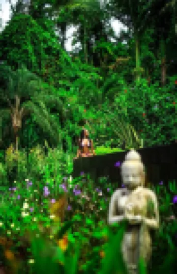 Oxygen Jungle Villas & Spa Hotels in 