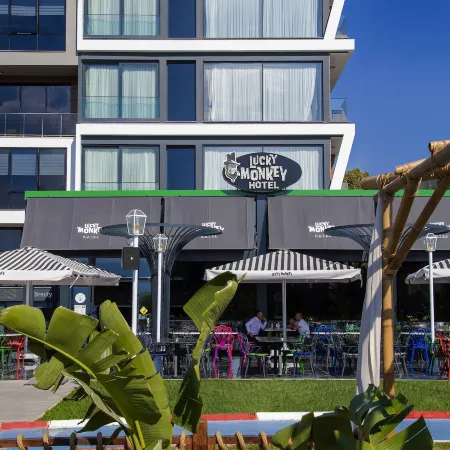 Lucky Monkey Hotel