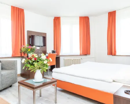 Hotel Rheinfelderhof Hotels in Basel