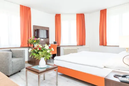 Hotel Rheinfelderhof Отели рядом с достопримечательностью «Университет Базеля»