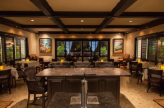 ดอลฟินโคฟ - สำหรับผู้ใหญ่เท่านั้น