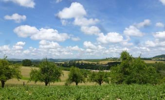 Domaine de Calbiac - on the Boardwalk