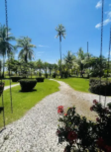 Cocomar Beachfront Hotel and Island Resort