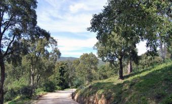 Villa Nais B&B
