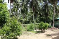 Marawila Residence - Wifi