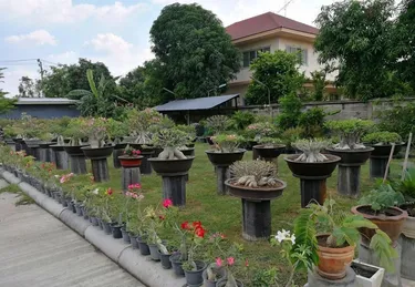 รูปภาพของชวนชม เดอะ ไฮท์ รีสอร์ท สระบุรี